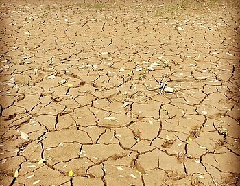 Brasilien Trockenheit