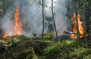 Klimawandel Schweden