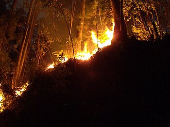 Klimawandel in Portugal