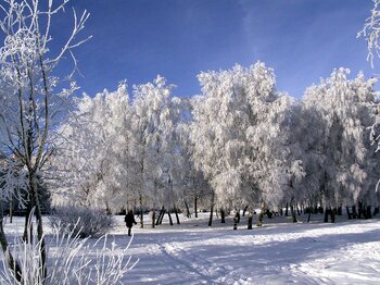 Winter in Litauen