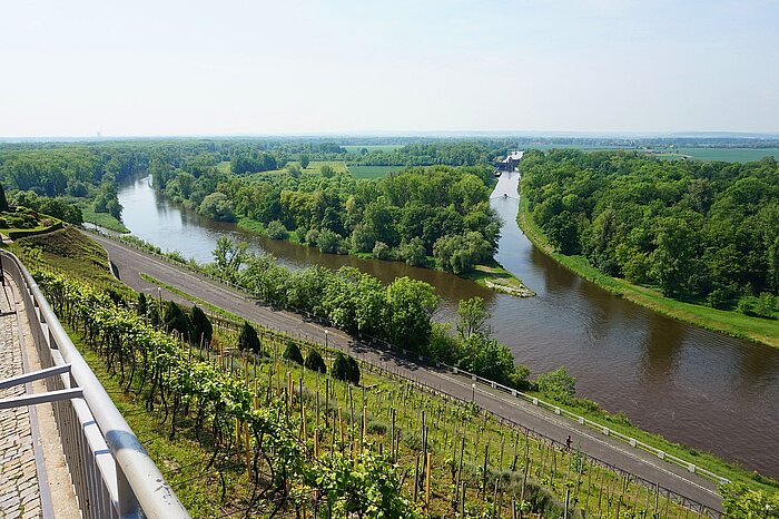 Mündung der Moldau in die Elbe bei Melnik