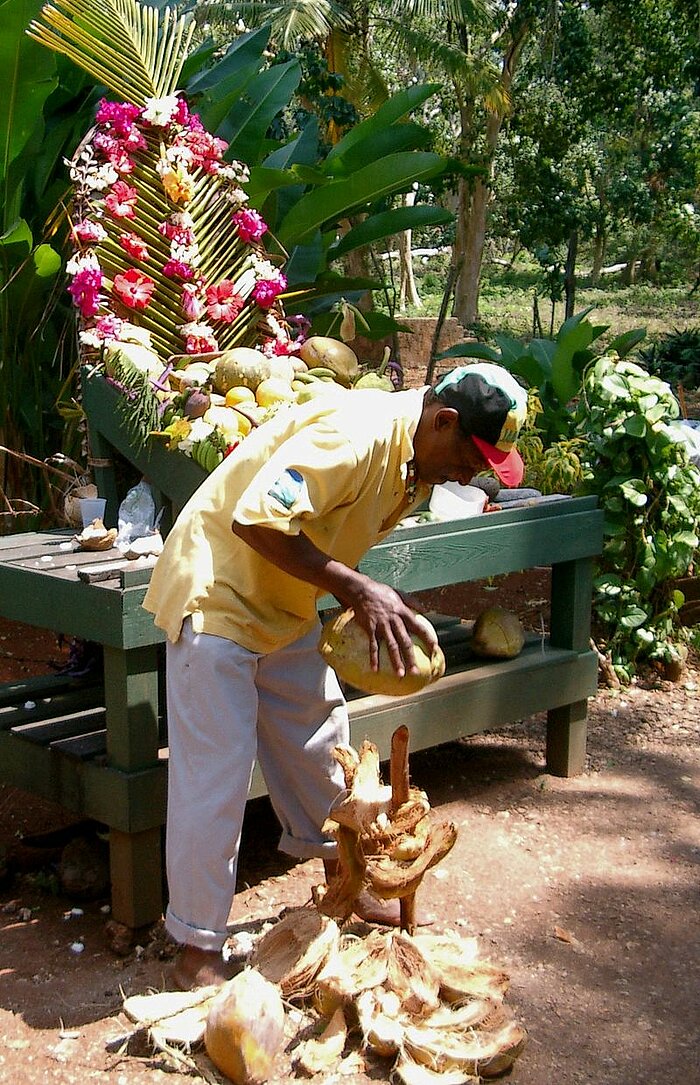 Jamaikaner beim Öffnen einer Kokosnuss