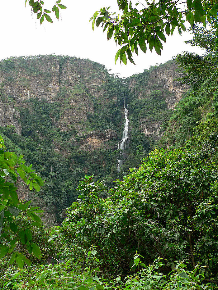 Wli-Wasserfall in der Volta-Region